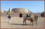 Camel Research Centre